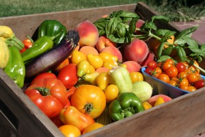 Vegetable basket