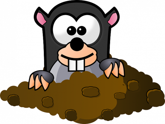 funny mole