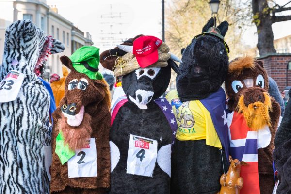 pantomime horse race