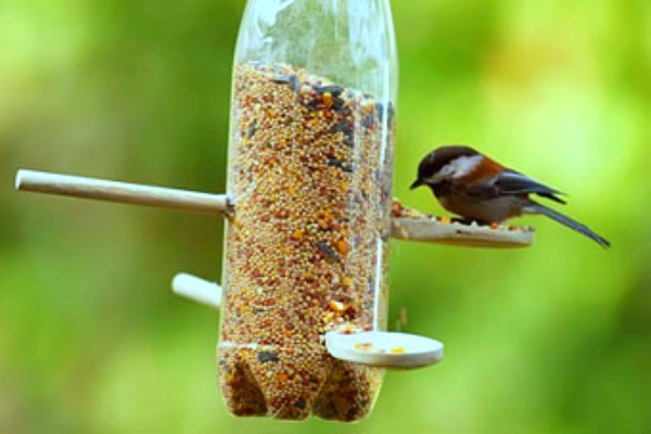 homemade bird feeder