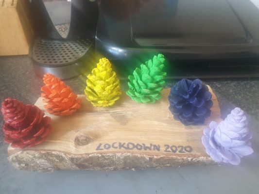 lockdown 2020 rainbow pinecones