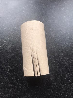 cut toilet roll 