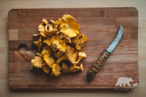 mushorrms de girolles