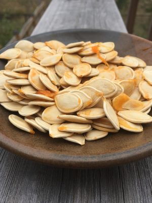 graines de citrouille