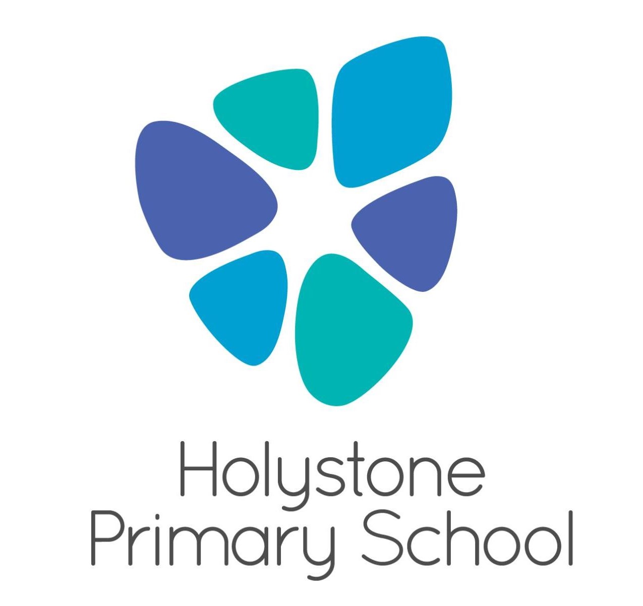 holystone-logo