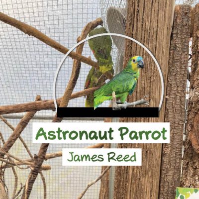 Astronaut Parrot cover