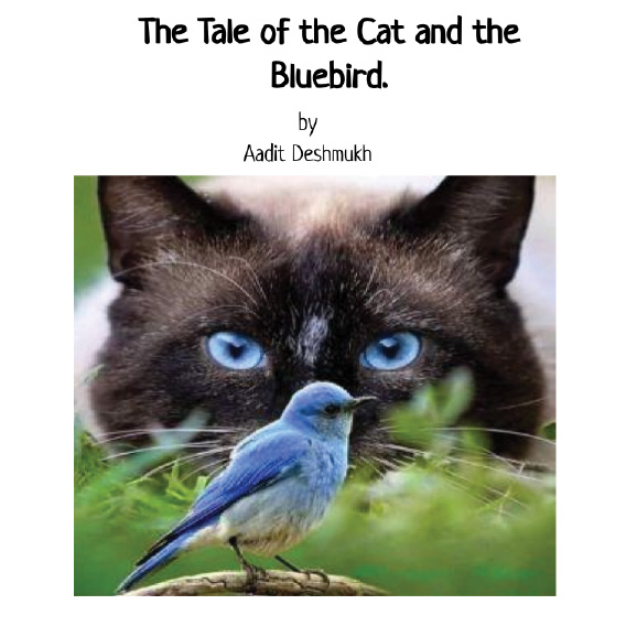 Tale of the cat and the bird by Aadit cover