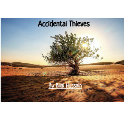 Accidental Thieves by Bilal Hussain book cover