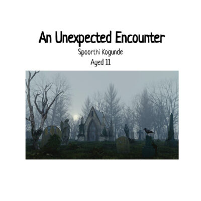 An unexpected Encounter book cover