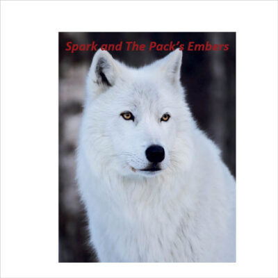 Spark and the Packs Embers - cover